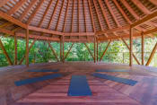 Thumbnail 8 of 16 - Affinitee at Stone Mountain Apartments photo of a yoga shala with yoga mats on the floor and trees in the background