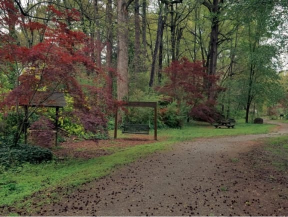 Affinitee at Pine Lake property image